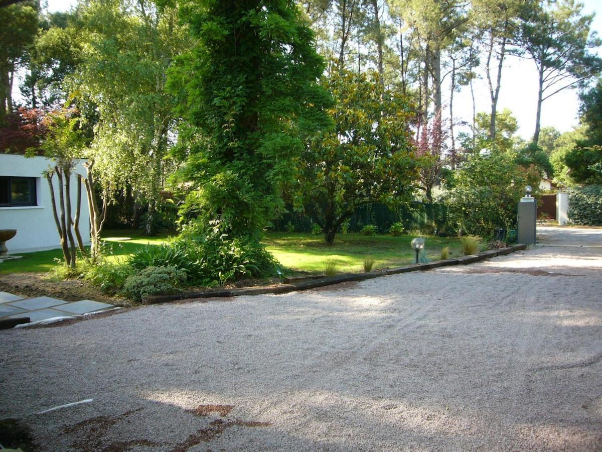 House With Heated Pool And Jacuzzi Vila Soorts-Hossegor Exterior foto