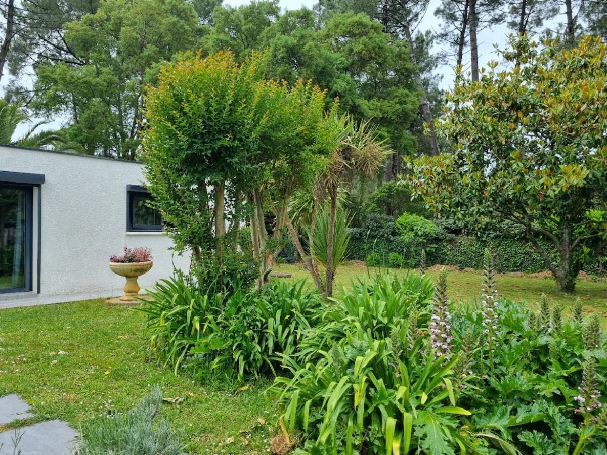 House With Heated Pool And Jacuzzi Vila Soorts-Hossegor Exterior foto